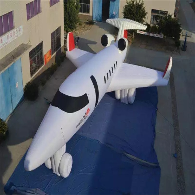 肥乡充气模型飞机